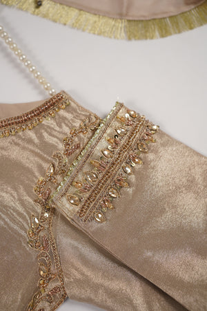 Noor-e-Fishan  Collection TZT-01