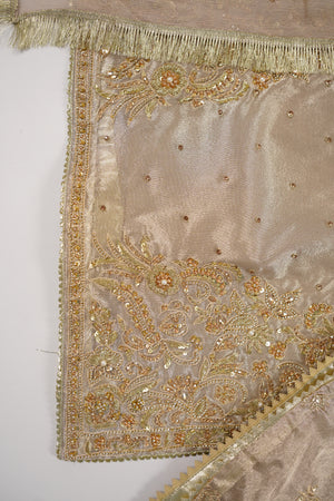 Noor-e-Fishan  Collection TZT-02
