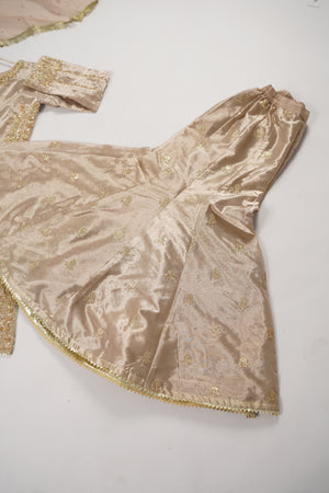Noor-e-Fishan  Collection TZT-02