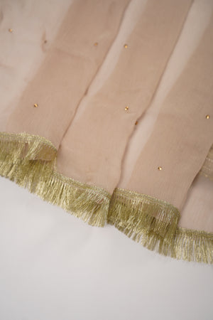 Noor-e-Fishan  Collection TZT-02