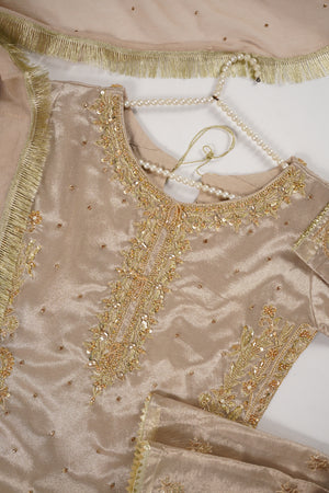 Noor-e-Fishan  Collection TZT-02