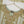 Noor-e-Fishan Wedding Collection  TS-03