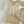 Noor-e-Fishan Wedding Collection  TS-03