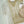 Noor-e-Fishan Wedding Collection  TS-03