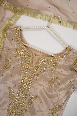 Noor-e-Fishan  Collection TZT-03