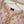 Noor-e-Fishan Wedding Collection  TS-02