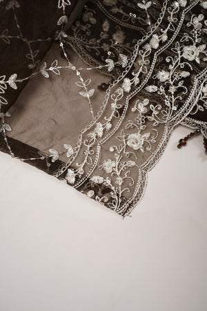 Rang-e-Noor Eid Collection DS-03