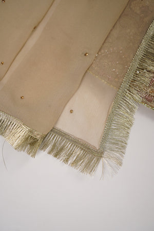 Noor-e-Fishan  Collection TZT-04