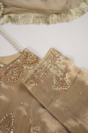 Noor-e-Fishan  Collection TZT-04