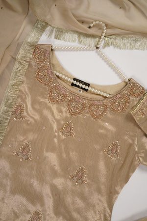 Noor-e-Fishan  Collection TZT-04