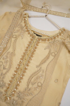 Rang-e-Noor party wear Collection BTK-01
