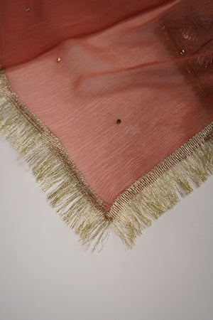 Noor-e-Fishan Exclusive Wedding wear Collection 2025 TQ-012