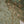 Load image into Gallery viewer, Noor-e-Fishan Exclusive Wedding wear Collection 2025 TQ-011
