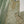 Load image into Gallery viewer, Noor-e-Fishan Exclusive Wedding wear Collection 2025 TQ-011
