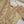 Rang Rasiya  Eid Luxury Collection KBZ-01