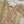 Rang Rasiya  Eid Luxury Collection KBZ-01