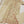 Rang Rasiya  Eid Luxury Collection KBZ-01