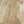 Rang Rasiya  Eid Luxury Collection KBZ-01