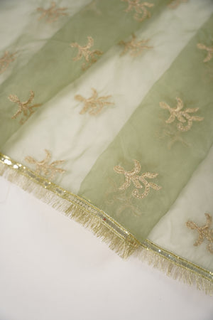 Noor-e-Fishan Exclusive Wedding wear Collection ZB-01