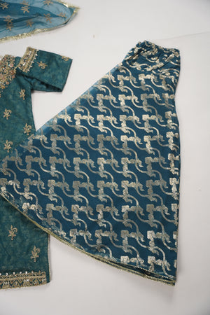 Noor-e-Fishan Exclusive Wedding wear Collection ZB-03