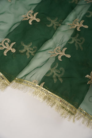 Noor-e-Fishan Exclusive Wedding wear Collection ZB-04