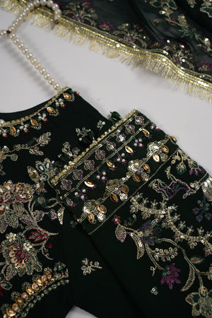 Rang Rasiya Eid Collection NG-01