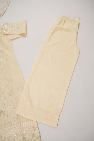 Rang-e-Noor Party wear Collection BTK-02