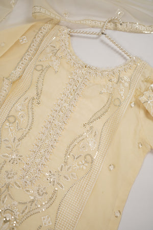 Rang-e-Noor Party wear Collection BTK-02
