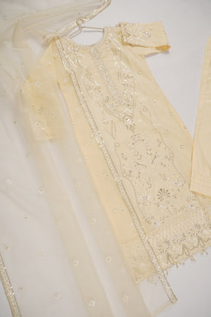 Rang-e-Noor Party wear Collection BTK-02