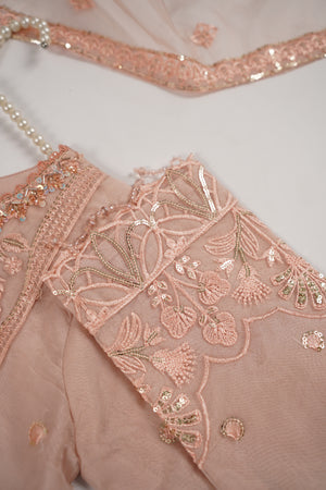 Rang-e-Noor partywear Collection BTK-04