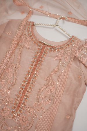 Rang-e-Noor partywear Collection BTK-04