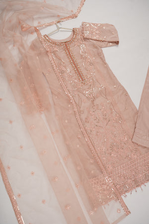 Rang-e-Noor partywear Collection BTK-04