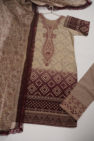 Shagun Exclusive Embroidery Collection ASD-10