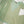 Load image into Gallery viewer, shagun exclusive farshi shalwar ck-06
