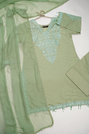 shagun exclusive farshi shalwar ck-06