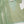 Load image into Gallery viewer, shagun exclusive farshi shalwar ck-06
