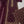Noor-e-Fishan  Collection TZT-06