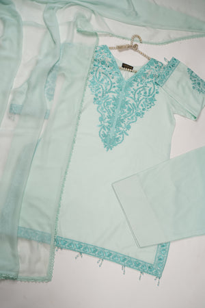 shagun exclusive farshi shalwar ck-05