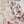 Load image into Gallery viewer, Shagun Exclusive Linen Collection 2025 zi-02

