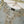 Load image into Gallery viewer, Rang Rasiya luxury collection by shagun DRD-03
