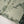 Original Tawakal khaddar 3pc collection MN-05