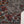 Original Tawakal khaddar 3pc collection MN-04