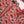Original Tawakal khaddar 3pc collection MN-02