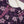 Original Tawakal khaddar 3pc collection MN-03