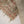 Load image into Gallery viewer, Rang Rasiya luxury collection by shagun dr-05
