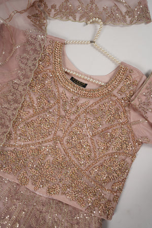 Gul-e-Rung Lehnga Choli UP-04