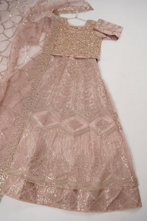 Gul-e-Rung Lehnga Choli UP-04