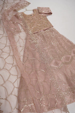 Gul-e-Rung Lehnga Choli UP-04