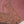 Load image into Gallery viewer, Shagun Visscos budget wear Vol 3 BK-04
