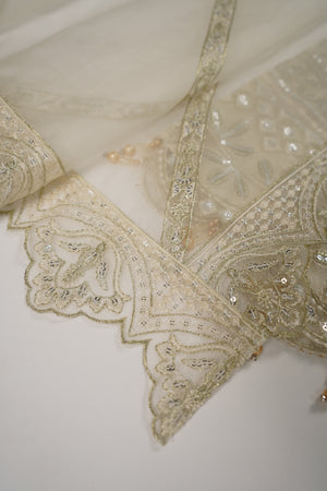 Rang Rasiya luxury collection by shagun dr-01